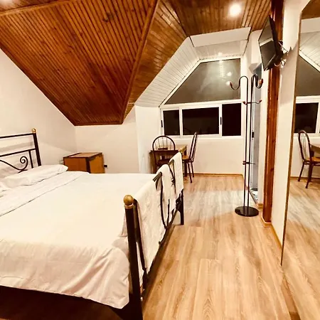 Hotel Drinos