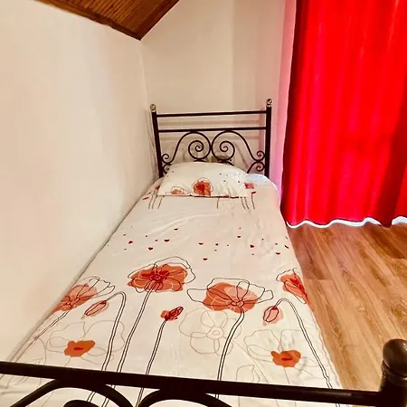 Drinos Tirana
