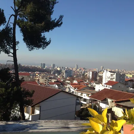 Drinos Tirana